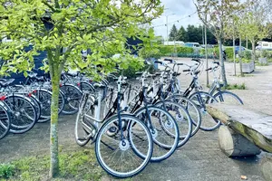 Fietsverhuur Bunnik Utrecht Buitengoed de Boomgaard